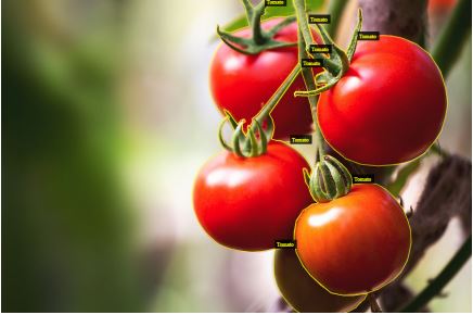 3D Cuboid Annotation